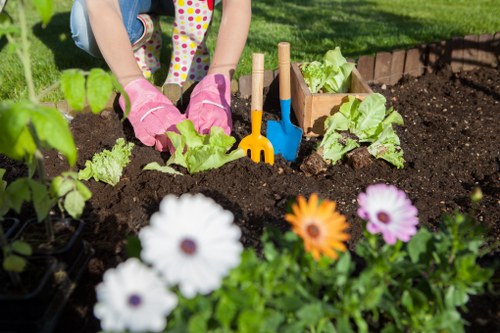 Diverse plant selection in a well-maintained Ruislip garden